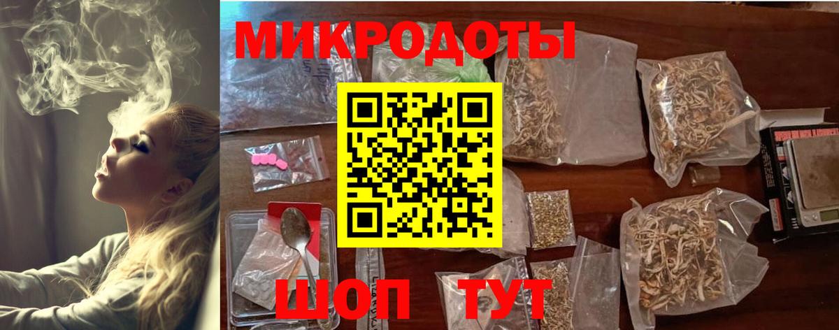 Псилоцибиновые грибы Psilocybe  Вход с VPN  Камышлов 