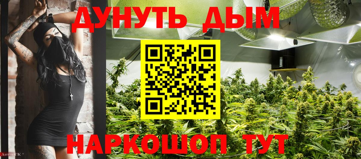 Бошки марихуана Ganja Камышлов